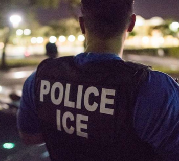 federal immigration defense attorney
